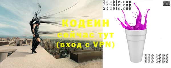 СК Горнозаводск