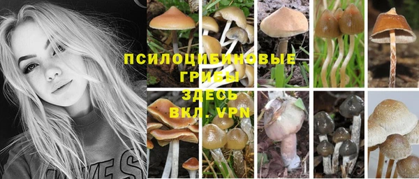 СК Горнозаводск