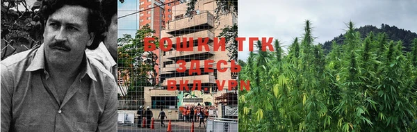 кокс Горняк