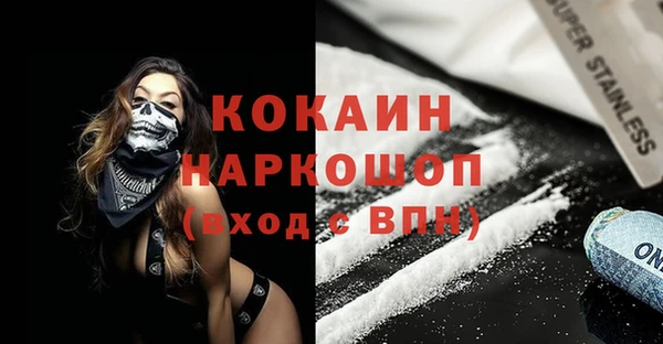 стаф Дмитров